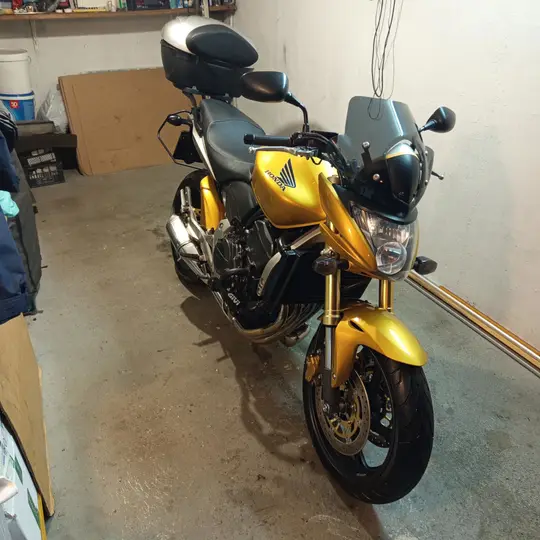 Honda Hornet
