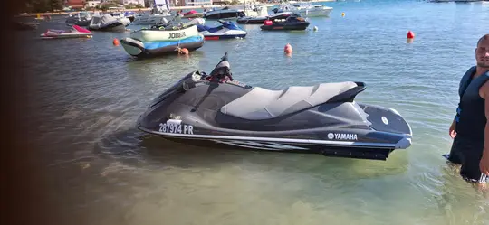 Yamaha Vx110