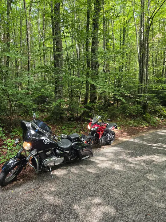 Suzuki VL 800
