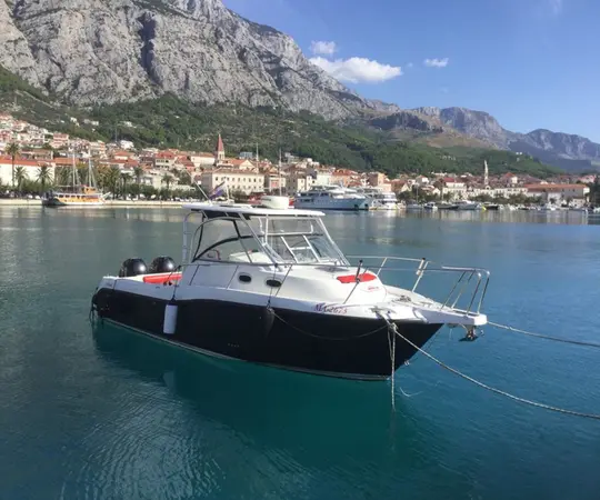 Boston Whaler