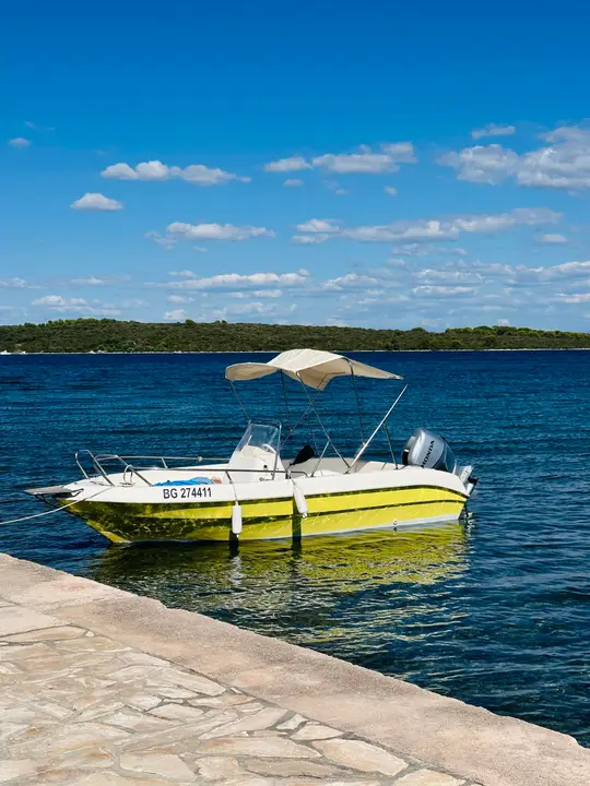 Tiburon 180