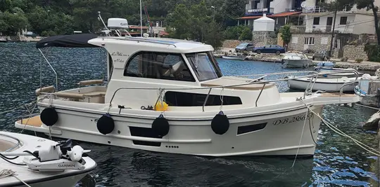 Leidi 800r