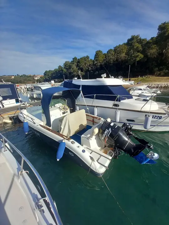 Suzuki Marine