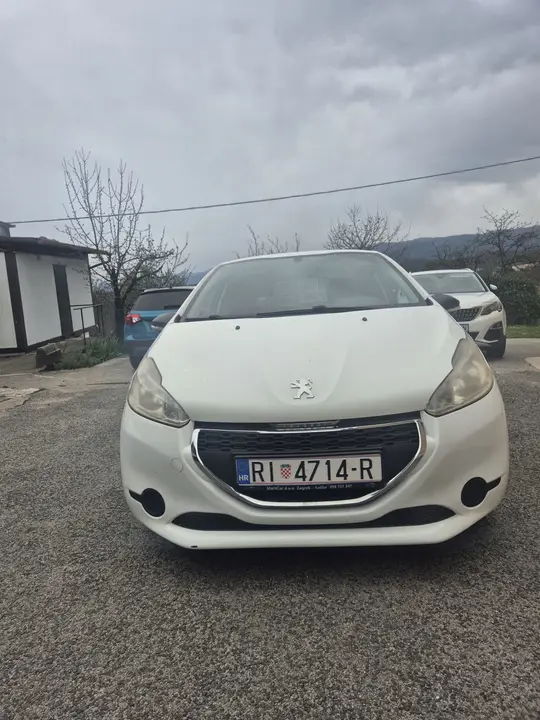Peugeot N1