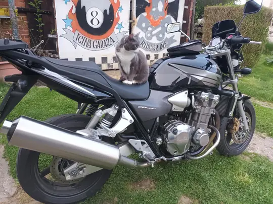 Honda ST1300