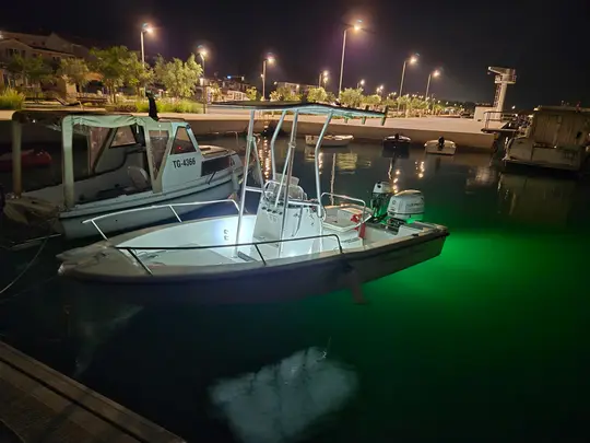 Bayliner Trophy