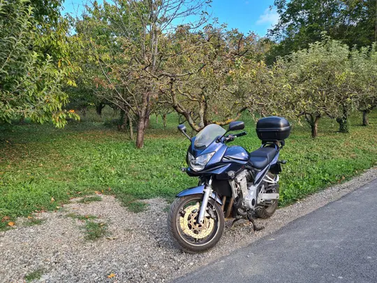 Suzuki GSF650