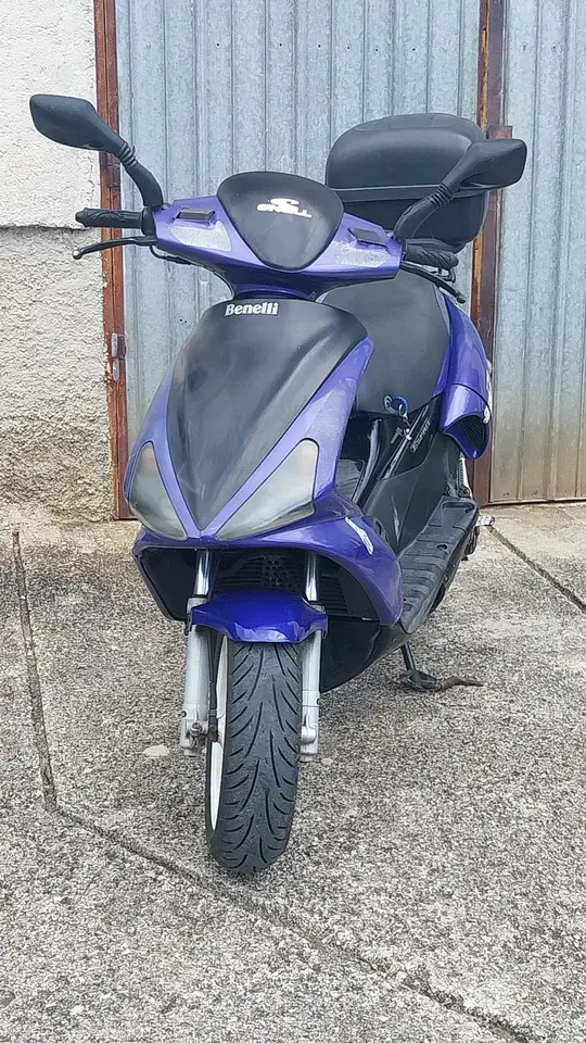 Benelli 491