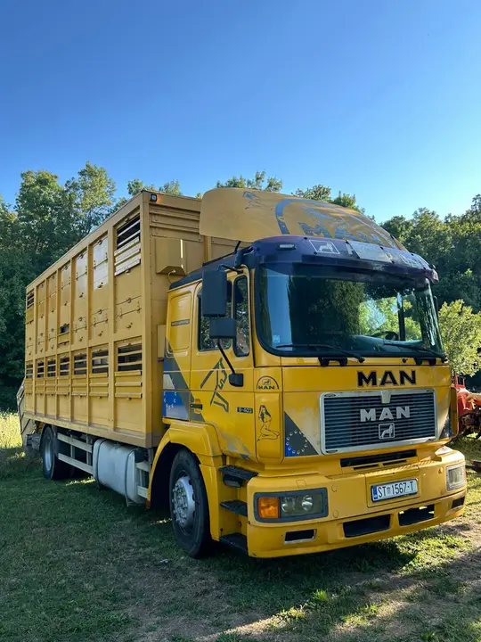 MAN TGX