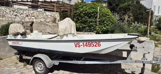 Boston Whaler