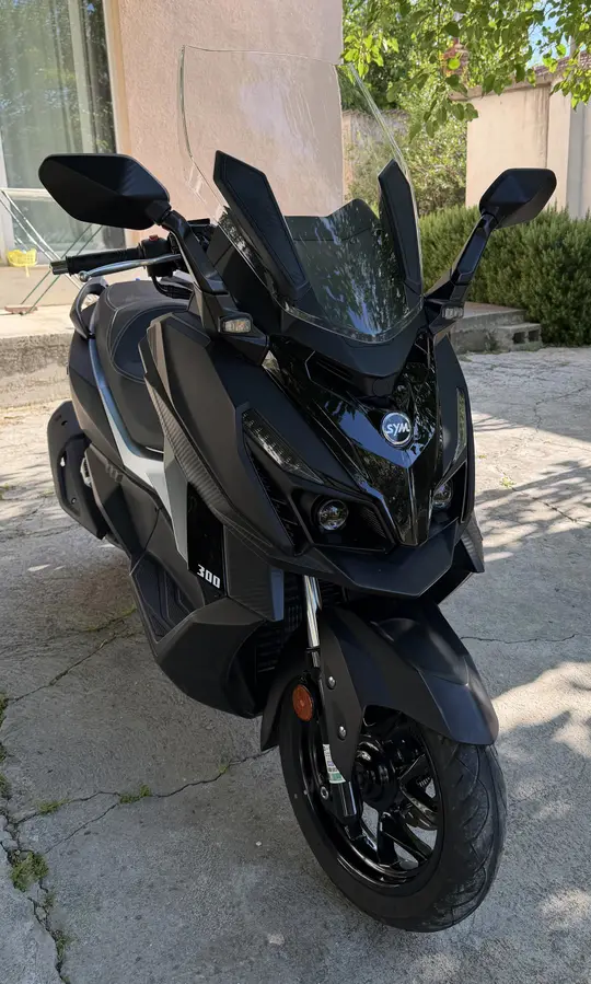 Sym Cruisym 300