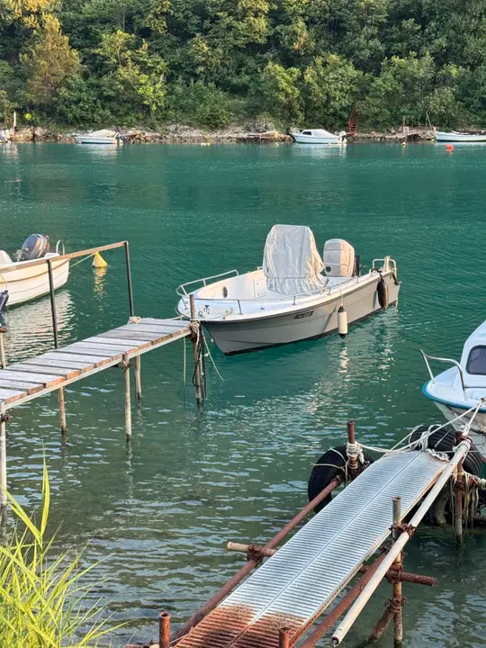 Smart Fisherman
