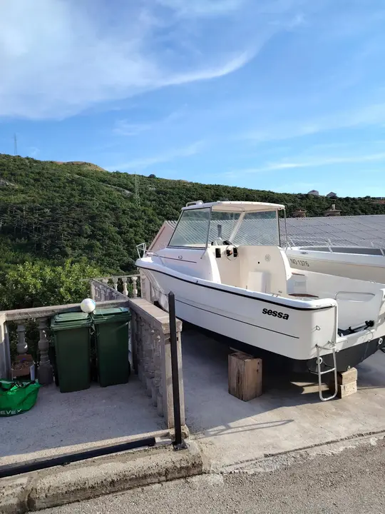 Sessa 550