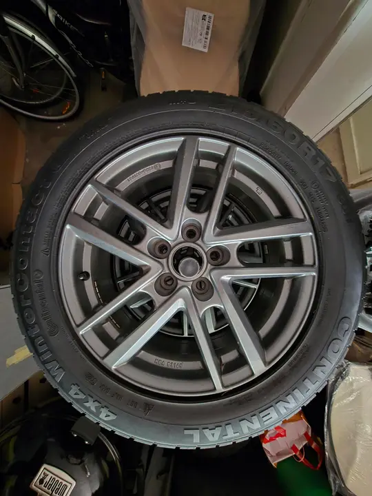 Thumbnail 19