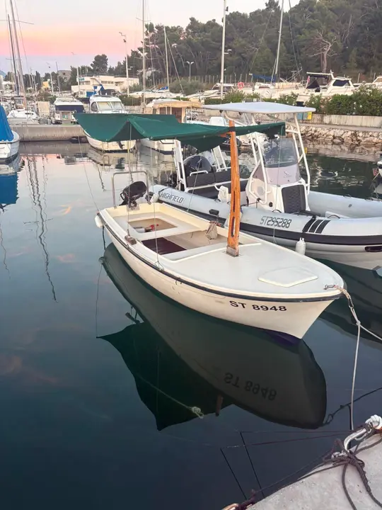 Triton 460