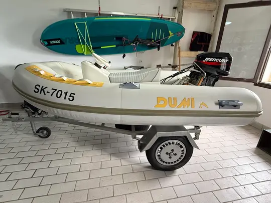 Dumi 270