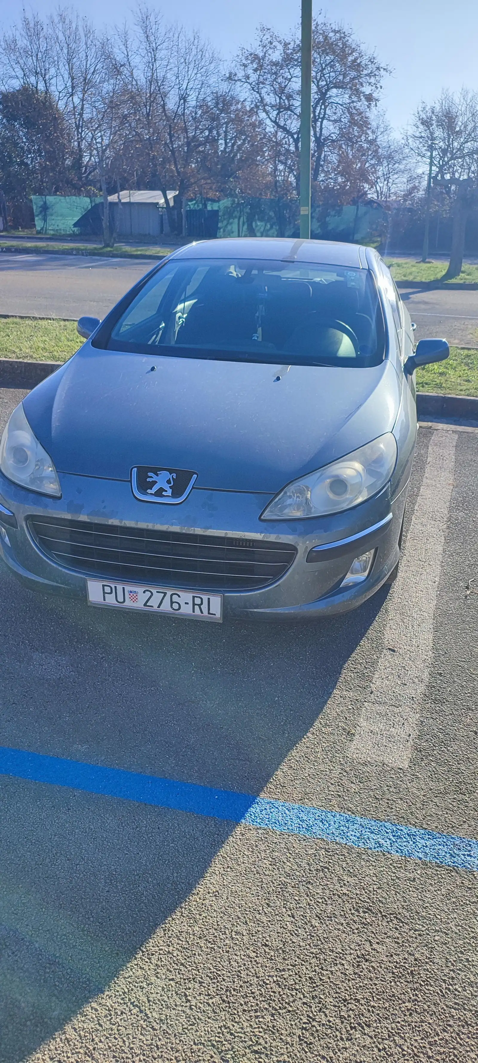 Peugeot 407